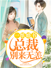 一纸婚书林辛言宗景灏