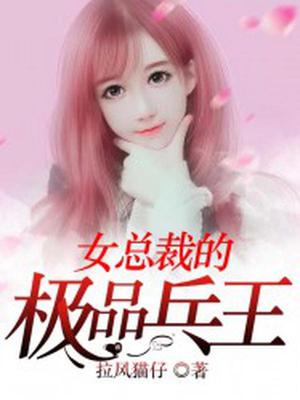 女总裁的极品兵王孟南