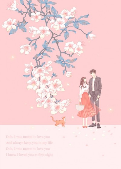 步步宠婚：替嫁娇妻心尖宠