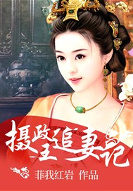 摄政王追妻记