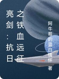 亮剑：抗日之铁血远征楚雄