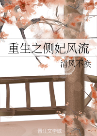 重生之侧妃风流